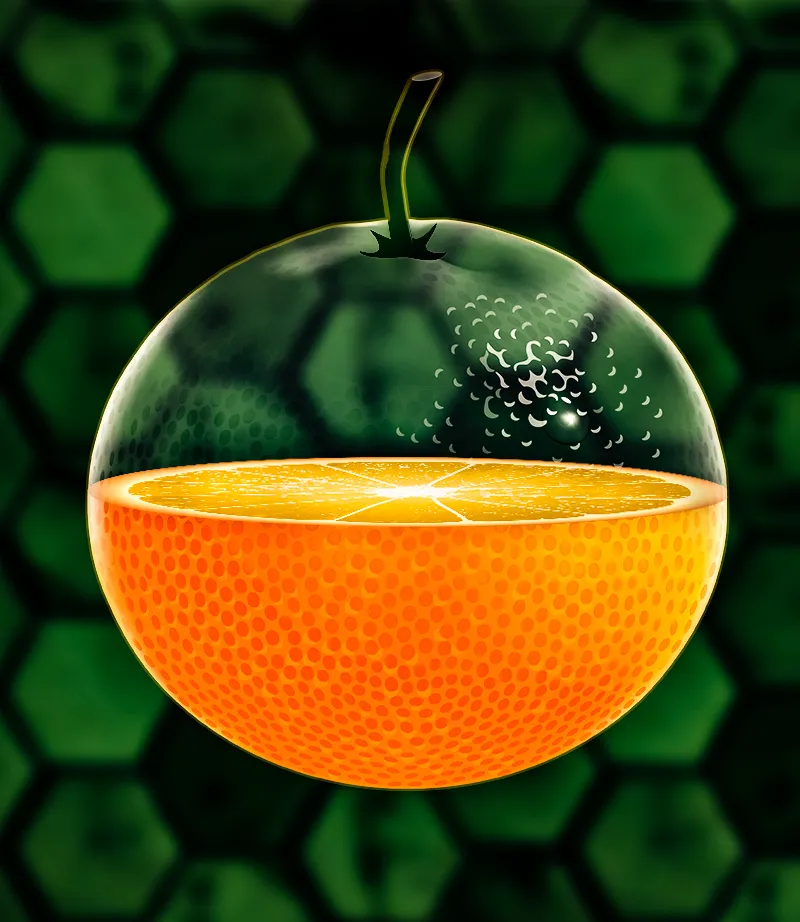 do high quality photoshop editing or photo manipulation